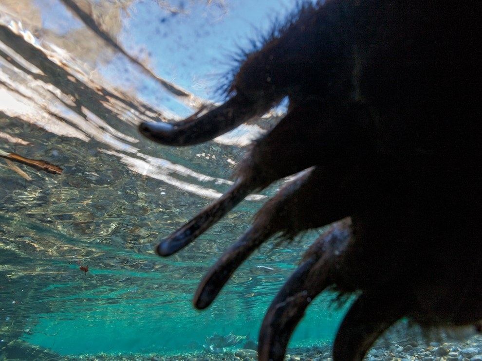 Лучшие фотографии марта от National Geographic