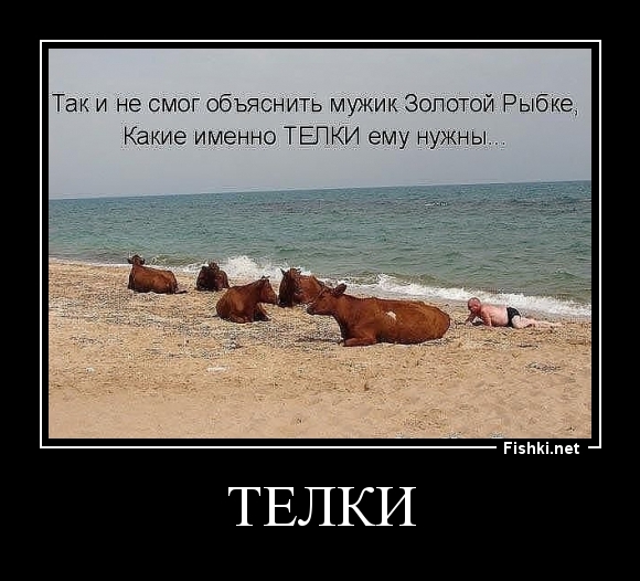 телки