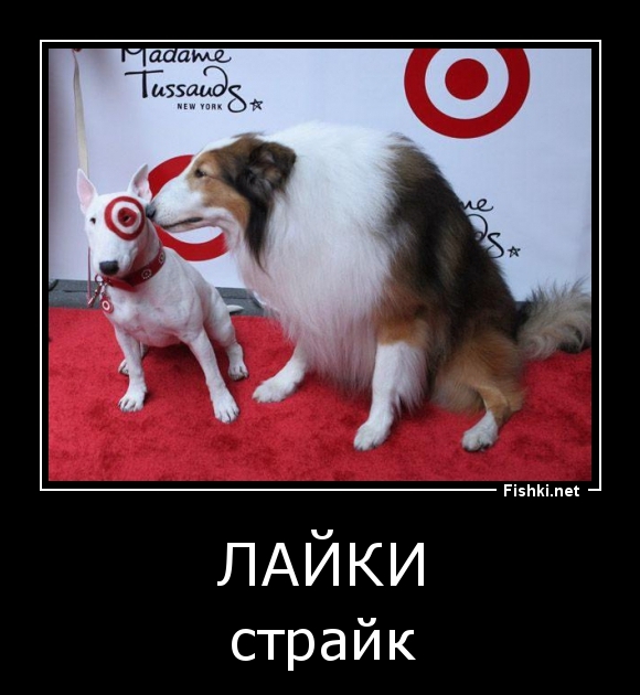 лайки
