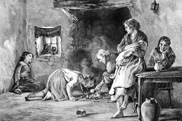 Великий голод 1315–1317