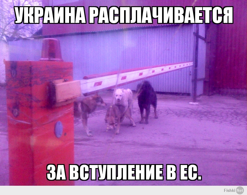 УКРАИНА РАСПЛАЧИВАЕТСЯ