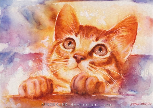 Солнечные кошки от Aurora Wienhold