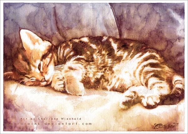 Солнечные кошки от Aurora Wienhold