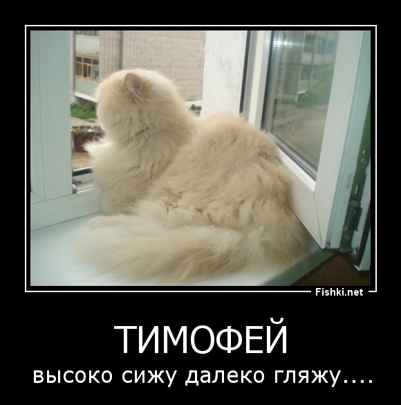 Тимофей