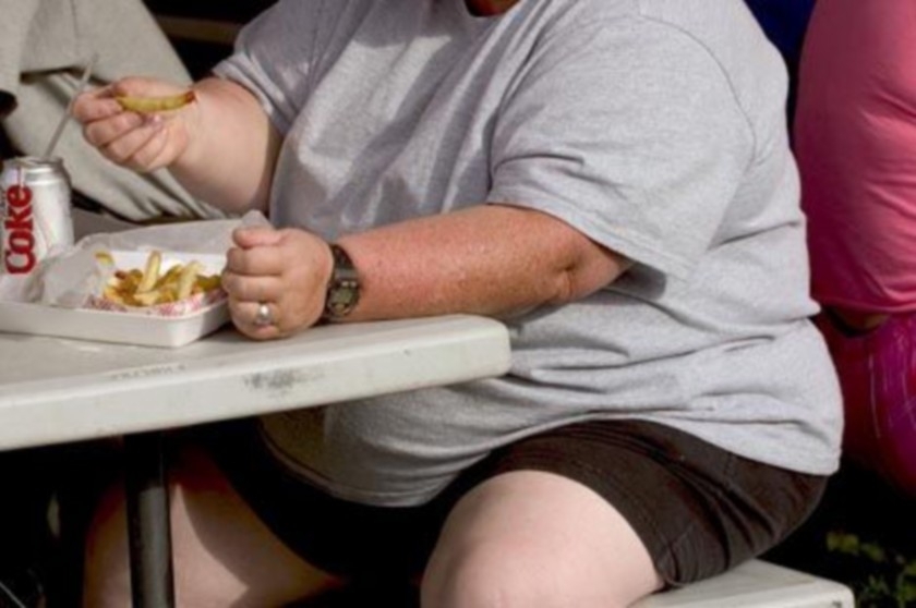 Американская пища способствует ожирению
