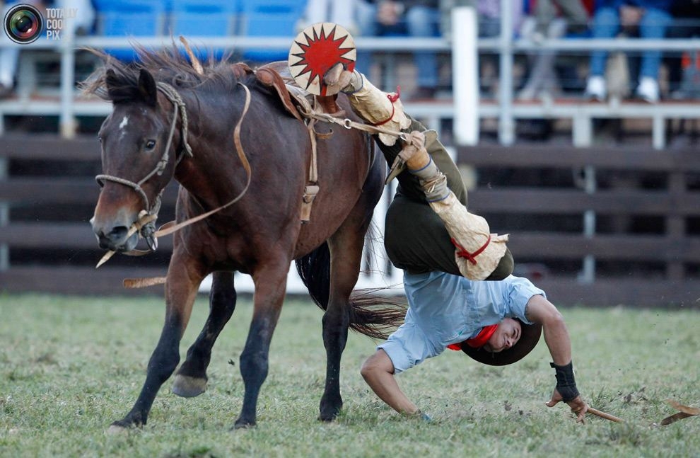Гаучо – южноамериканские ковбои