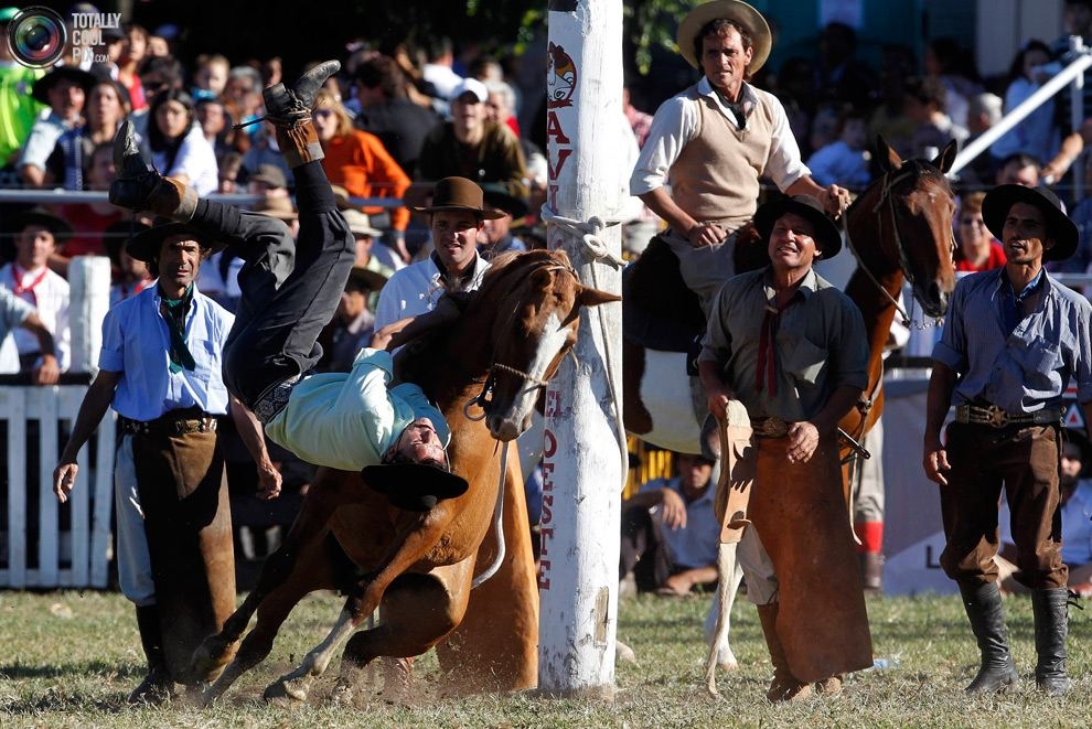 Гаучо – южноамериканские ковбои