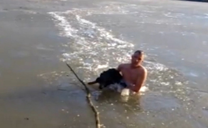 Спасая бездомную собаку, парень бросился в ледяную воду