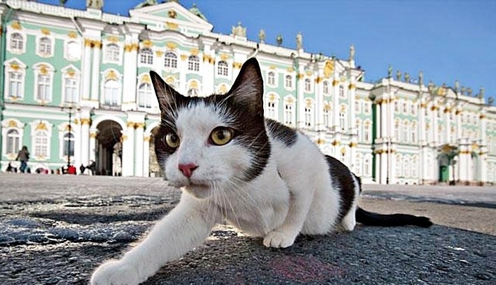 Сквер Сибирских кошек