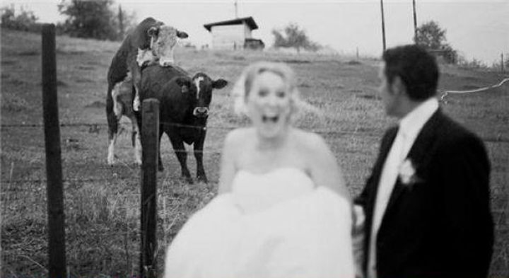  Великие творения свадебных фотографов