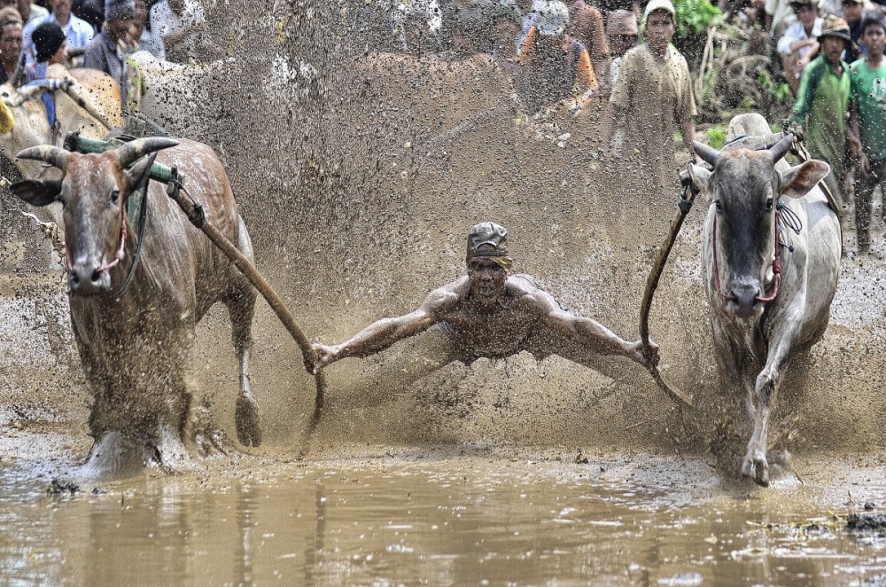 Победители конкурса фотографий Sony World Photography Award 2014