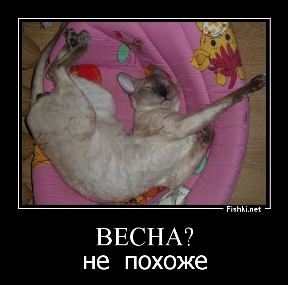 Весна?