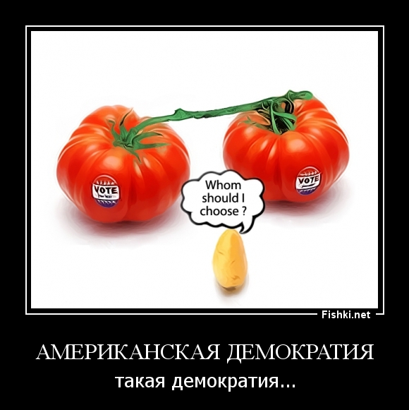 Американская демократия