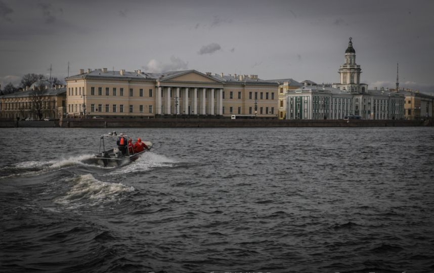 За сутки сотрудники МЧС спасли трёх ластоногих