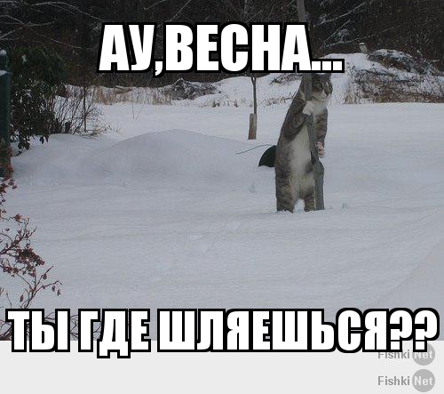 Ау,весна...