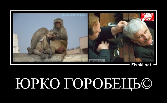 Юрко Горобець©