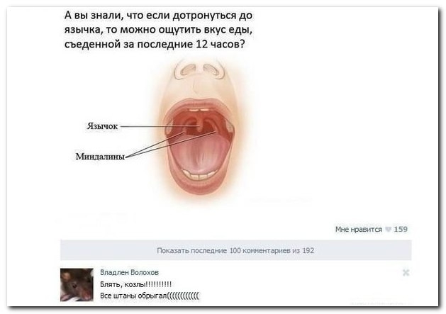 Смешные комментарии из социальных сетей 08.04.14 