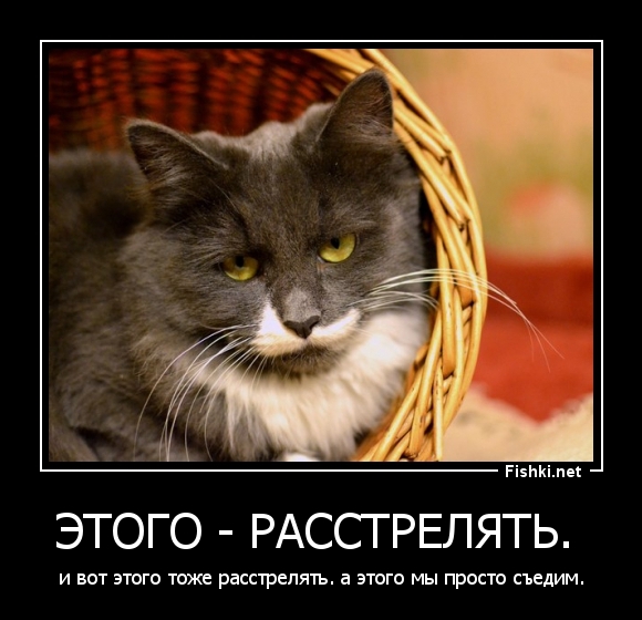 Этого - расстрелять. 
