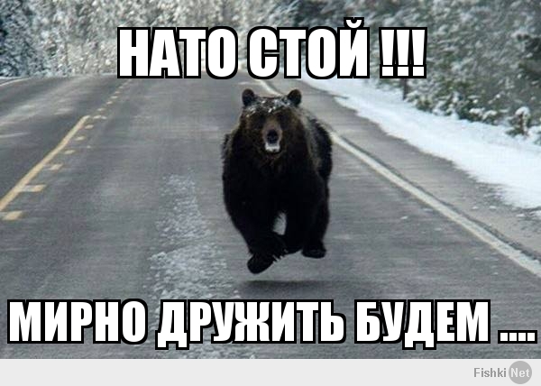 НАТО СТОЙ !!!