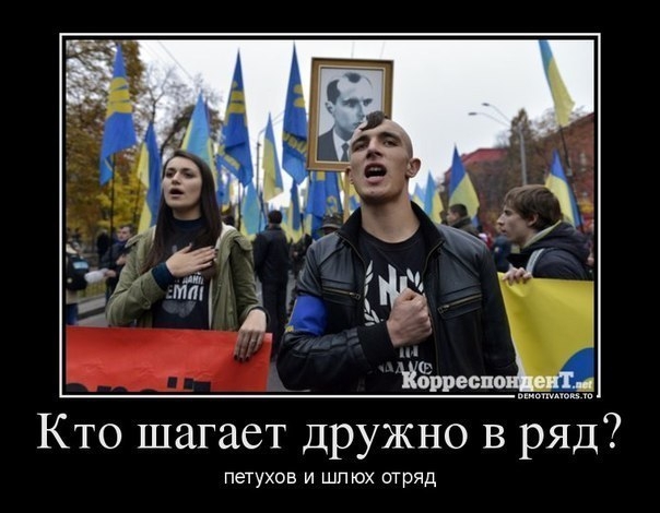 Подборка демотиваторов и карикатур о Украине и майдане