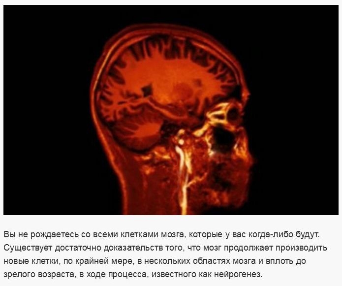 Ложные научные утверждения