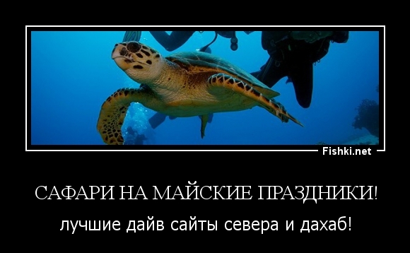 Сафари на майские праздники!