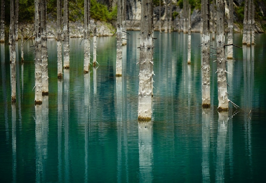 Удивительный затонувший лес: озеро Каинды 