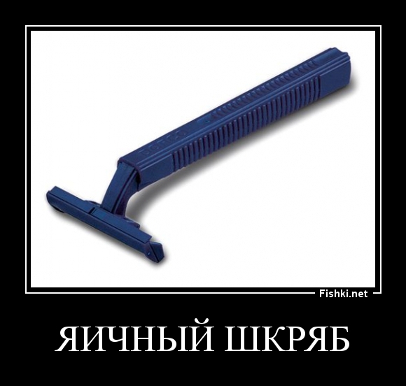 ЯИЧНЫЙ ШКРЯБ
