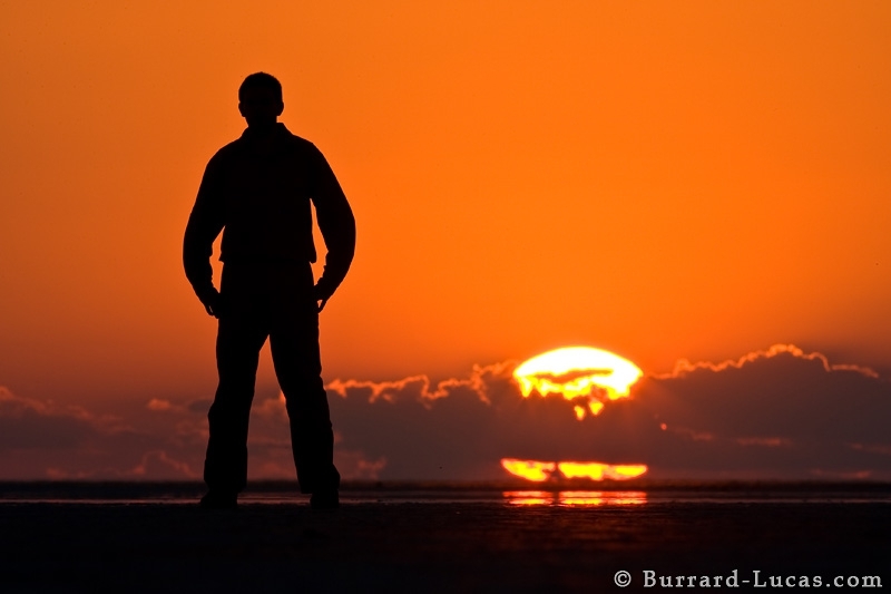 Фотограф Will Burrard-Lucas и сурикаты!