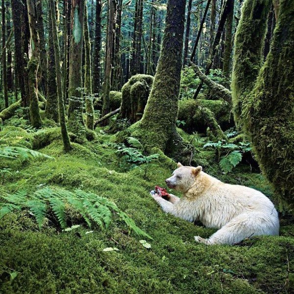 Фото из инстограм National Geographic.