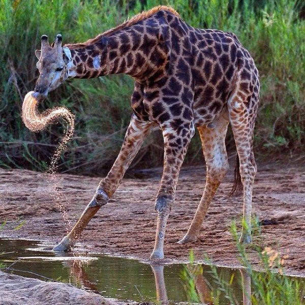 Фото из инстограм National Geographic.