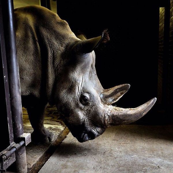 Фото из инстограм National Geographic.