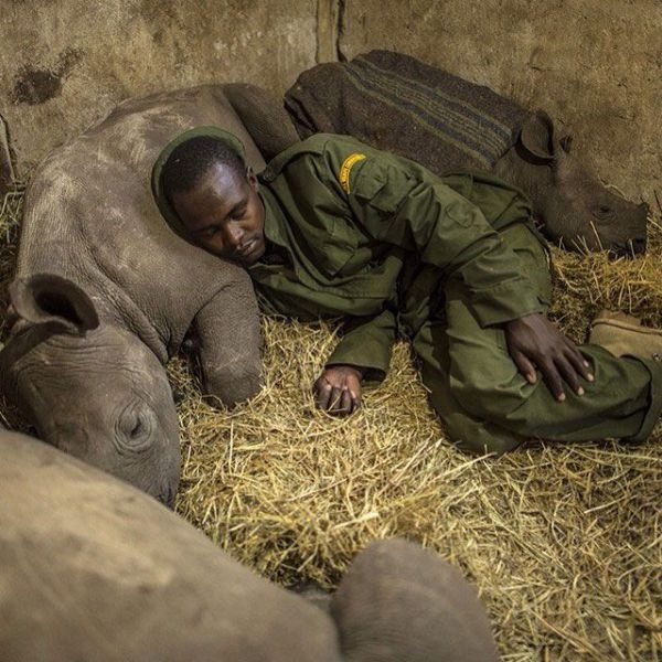 Фото из инстограм National Geographic.