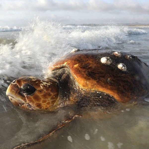 Фото из инстограм National Geographic.