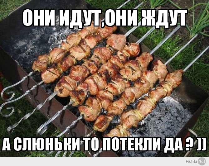 они идут,они ждут