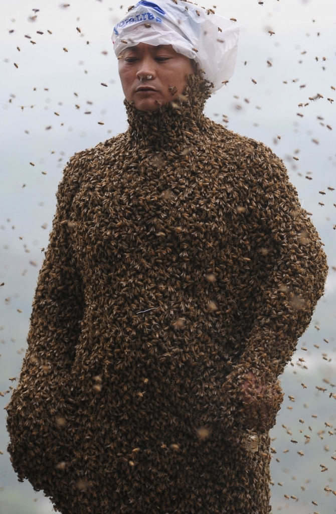 460000 тысяч пчел на теле пчеловода