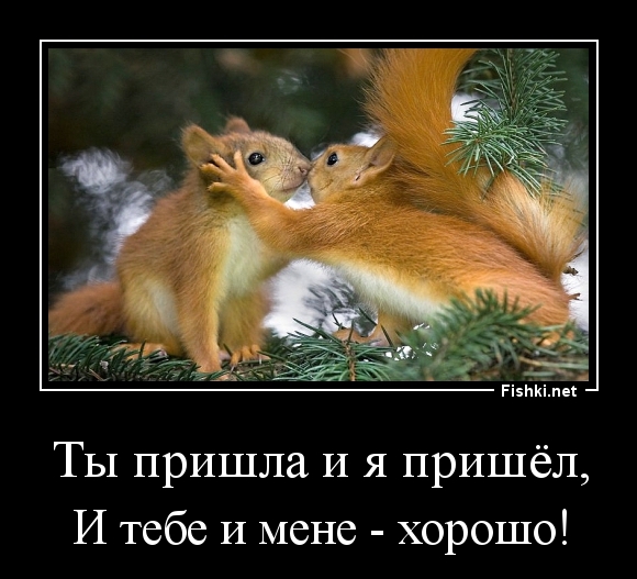 Ты пришла и я пришёл,