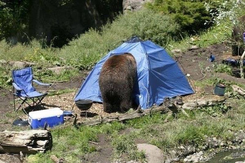 Такое возможно только в России