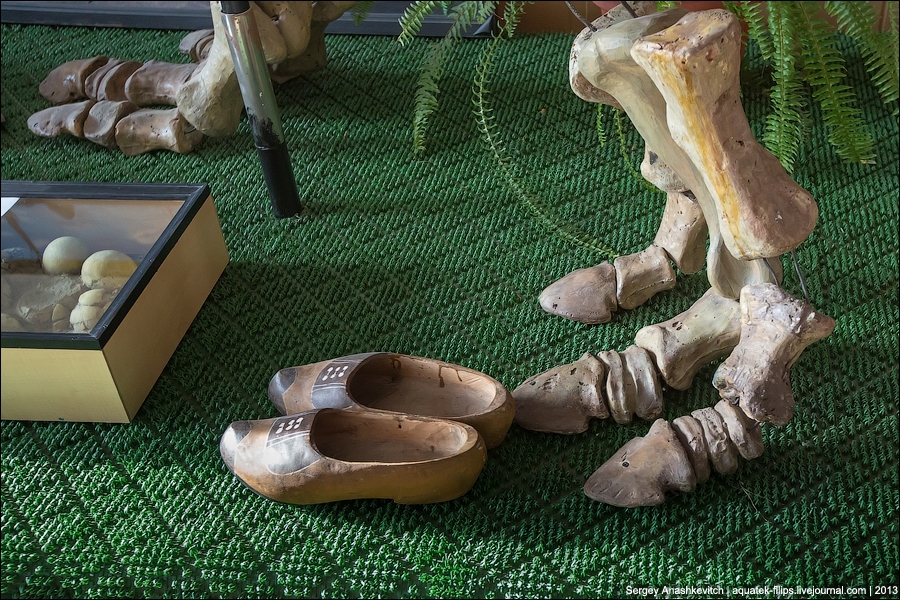 Как динозавров ставят "на ноги"