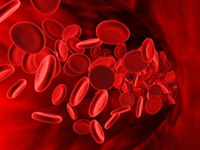 Как влияет группа крови на характер человека 