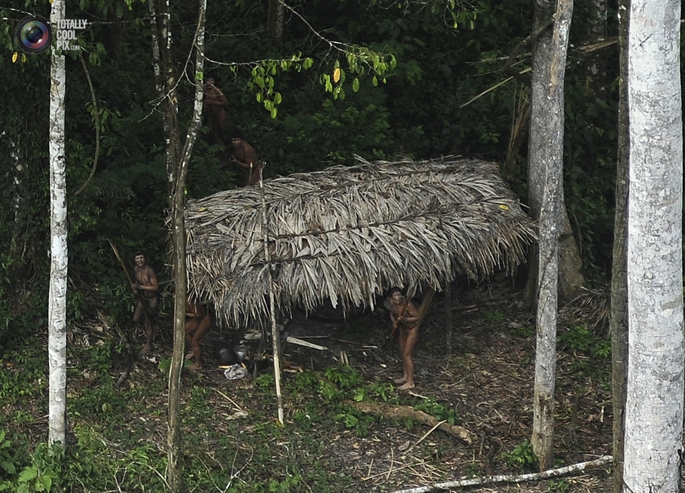 Борьба за выживание в непроходимых амазонских джунглях
