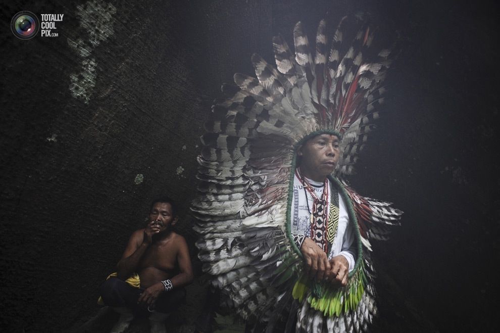 Борьба за выживание в непроходимых амазонских джунглях