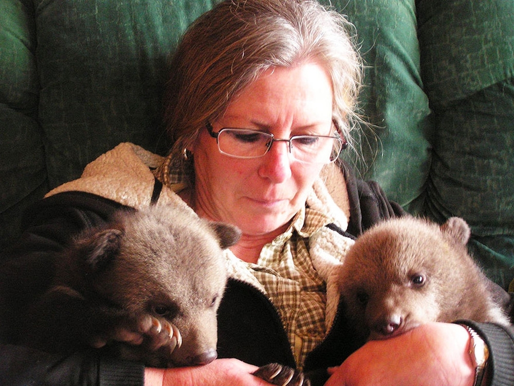 Семейная пара усыновила двух медвежат