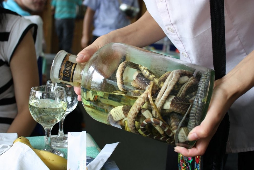 Змеиное вино: экзотический напиток не для слабонервных