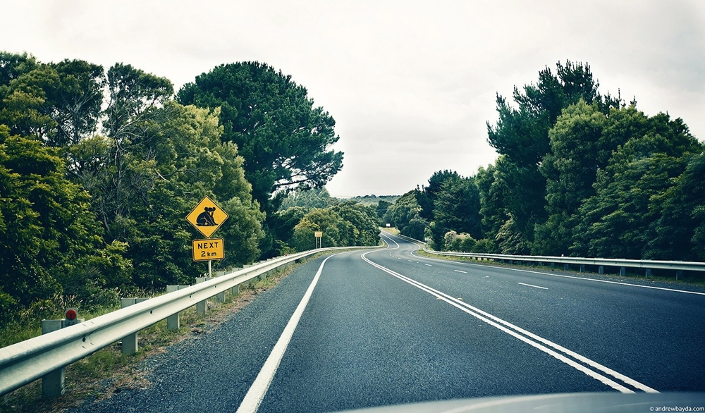 Большое дорожное путешествие по Австралии