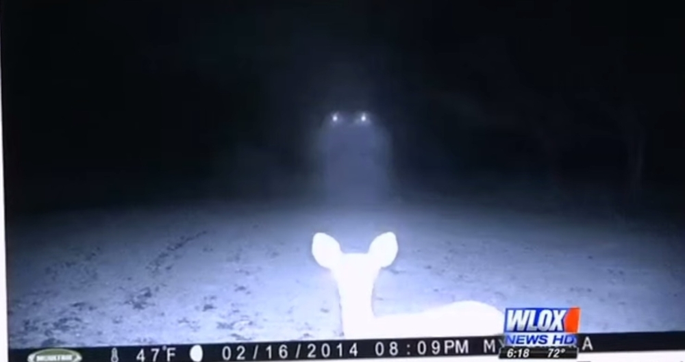 Камера случайно сняла странный объект, напоминающий НЛО
