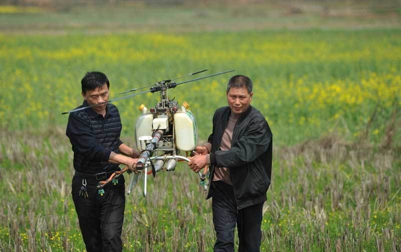 Китайские фермеры используют беспилотных дронов в сельском хозяйстве