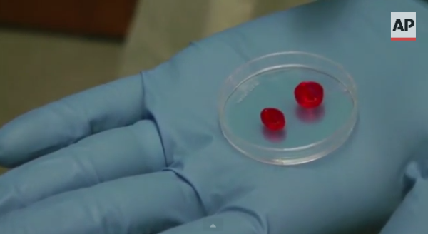 Ученые пытаются напечатать работающее человеческое сердце