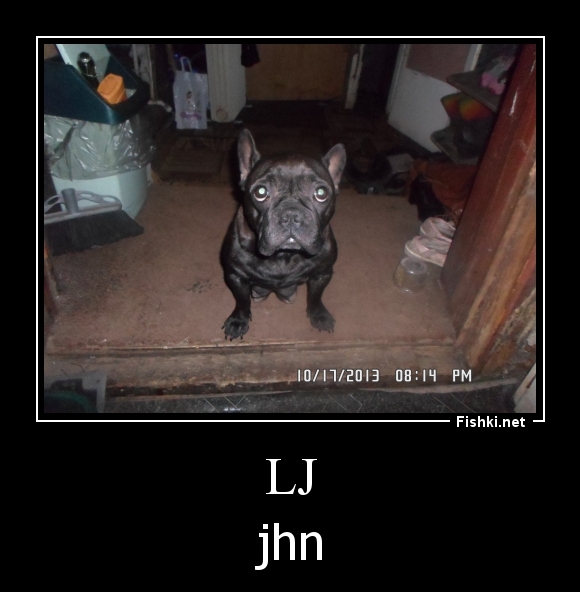 lj