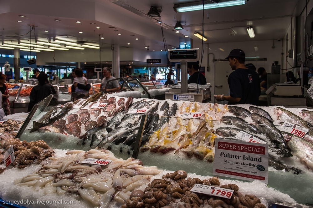 Прогулка по крупнейшему рыбному рынку Южного полушария
